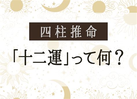 陰陽二極|四柱推命−陰陽二極/原始人みたいな死生観は重要